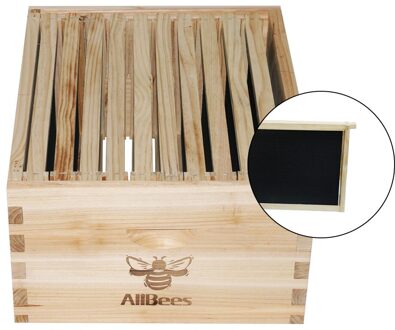 Spar Gemonteerd Diepe Bijenkorf Doos 10 Stuks Grenen Bijenkorf Frames 10 Plastic Stichting Vellen Bijenteelt Gereedschappen Apparatuur Ongemonteerd