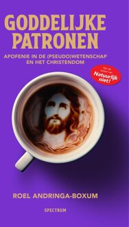 Spectrum Goddelijke patronen - Roel Andringa-Boxum - ebook