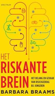 Spectrum Het riskante brein - eBook Barbara Braams (9000353548)