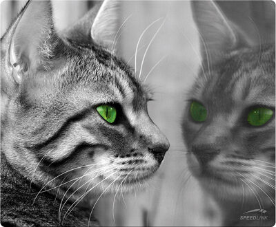 Speedlink SILK muismat Kat