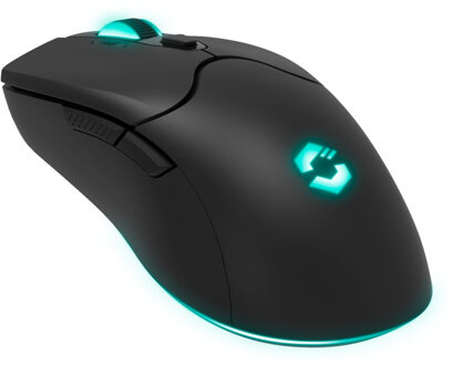 Speedlink SL-680102-BK muis Gamen USB Type-A 4800 DPI
