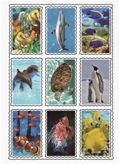 Speelgoed 3D stickers van zeedieren
