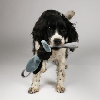 Speeltouw Jule met kraakfolie hondenspeelgoed Per stuk