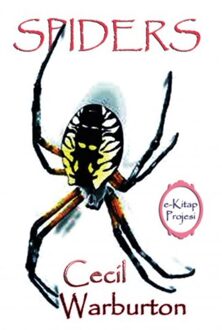 Spiders - Cecil Warburton