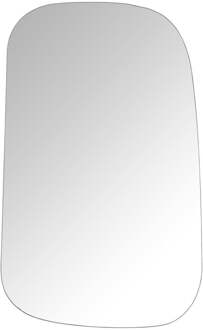 Spiegel organisch - zilverkleurig - 60x37 cm