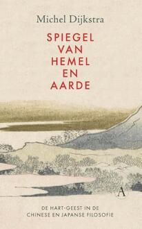 Spiegel van hemel en aarde -  Michel Dijkstra (ISBN: 9789025316464)