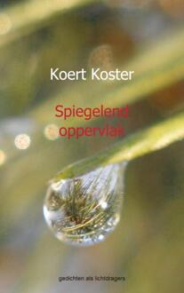Spiegelend oppervlak - Boek Koert en Marleen Koster (9461935218)