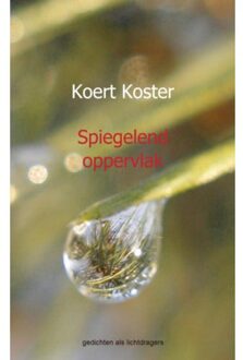 Spiegelend oppervlak - Boek Koert en Marleen Koster (9461935218)