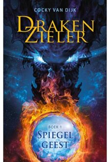 Spiegelgeest - Boek Cocky van Dijk (9490767670)