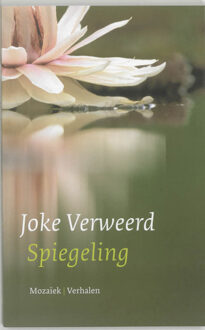 Spiegeling - Boek Joke Verweerd (9023991567)