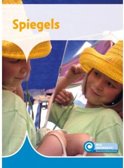 Spiegels - Mini Informatie - Minke van Dam