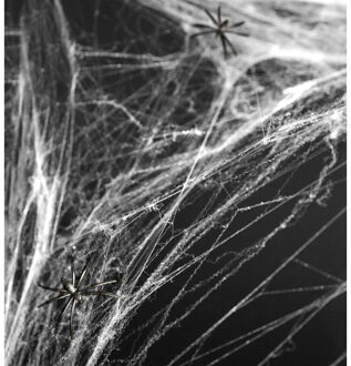 Spinnenweb Halloween met 2 Spinnen Wit - Transparant