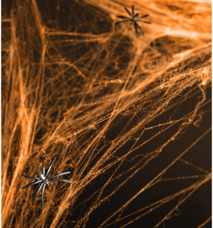 Spinnenweb Halloween Oranje Met 2 Spinnen