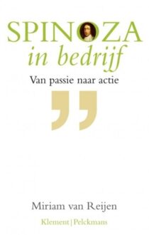 Spinoza in bedrijf - eBook Miriam van Reijen (9086872522)