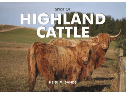Spirit of Highland Cattle