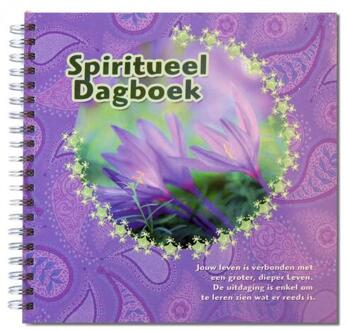 Spiritueel dagboek - Boek Morya (9075702531)