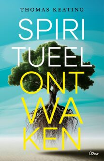 Spiritueel ontwaken - Thomas Keating - ebook
