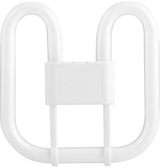 SPL | Compact Fluorescent Lamp | 2D | GR10q Fitting | 21W | Wit | 4-Pin | 4000K