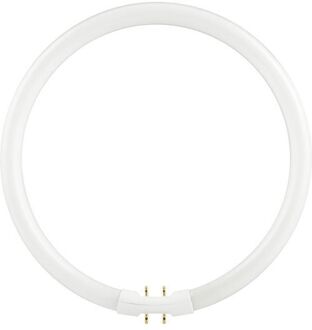 SPL | FL Circline T5 | 2Gx13 Fitting | 22W | 3000K Opaal