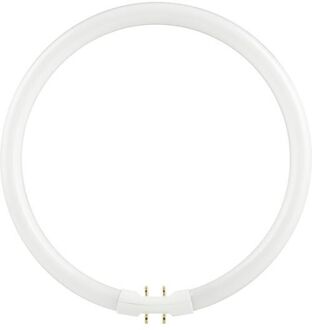 SPL | FL Circline T5 | 2Gx13 Fitting | 40W | 3000K Opaal