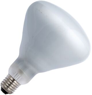 spl | Grote fitting E27 | R-klof/reflectorlamp | 125mm | 105W Opaal