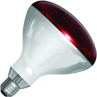 spl |  IR-lamp R-bollamp/reflectorlamp | Grote fitting E27 | 150W
