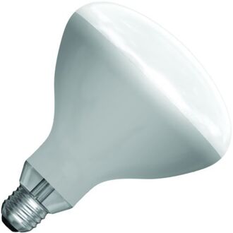 spl | IR-lamp R-bollamp/reflectorlamp | Grote fitting E27 | 250W Mat