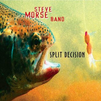 Split Decision - Steve Morse -band