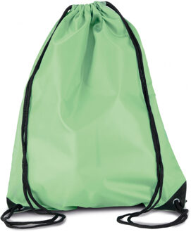 Sport gymtas/draagtas lichtgroen met rijgkoord 34 x 44 cm van polyester - Gymtasje - zwemtasje