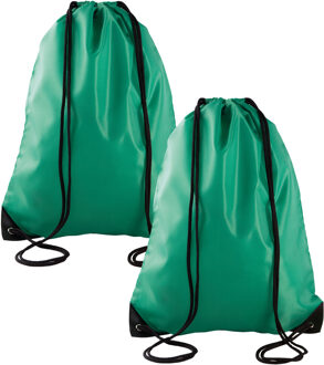 Sport gymtas/draagtas met rijgkoord - 2x - grasgroen - 34 x 44 cm - polyester - verstevigde hoeken