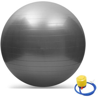 Sport Yoga Ballen Bola Pilates Fitness Bal Gym Balans Fitball Oefening Pilates Workout Massage Bal Met Pomp 55 Cm Grijs