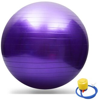 Sport Yoga Ballen Bola Pilates Fitness Bal Gym Balans Fitball Oefening Pilates Workout Massage Bal Met Pomp 55 Cm Paars