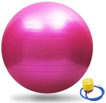Sport Yoga Ballen Bola Pilates Fitness Bal Gym Balans Fitball Oefening Pilates Workout Massage Bal Met Pomp 55 Cm Roze