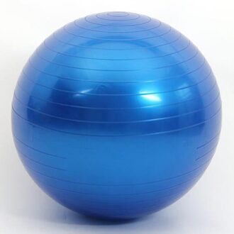 Sport Yoga Ballen Pilates Fitness Bal Gym Balance Fit Bal Oefening Pilates Workout Massage Bal blauw