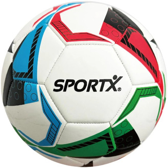 SportX Voetbal Triangle Froster