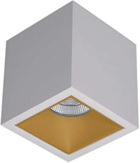 Spot BWS Daniel Aluminium 745Lm 9,2W Wit Met Gouden Anti-Glare Ring