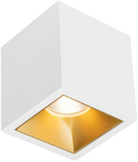 Spot BWS Daniel Aluminium 745Lm 9,2W Wit Met Gouden Anti-Glare Ring