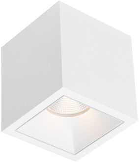 Spot BWS Daniel Aluminium 745Lm 9,2W Wit Met Witte Anti-Glare Ring