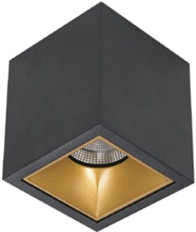 Spot BWS Daniel Aluminium 745Lm 9,2W Zwart Met Gouden Anti-Glare Ring