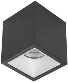 Spot BWS Daniel Aluminium 745Lm 9,2W Zwart Met Witte Anti-Glare Ring