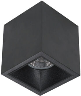 Spot BWS Daniel Aluminium 745Lm 9,2W Zwart Met Zwarte Anti-Glare Ring