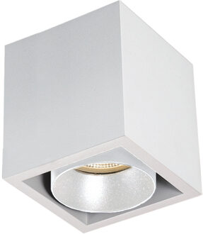 Spot BWS Regina Aluminium 745Lm 9,2W Wit Met Witte Anti-Glare Ring