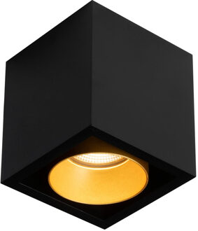 Spot BWS Regina Aluminium 745Lm 9,2W Zwart Met Gouden Anti-Glare Ring