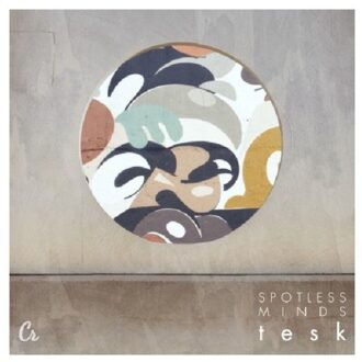 Spotless Minds - Tesk