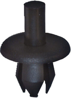 Spreidnagel OEM:1719245 - 90138810 - 20 stuks 65B123013