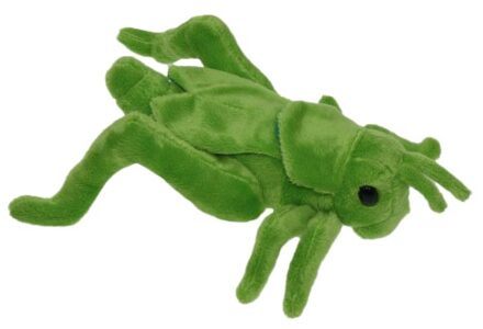 Sprinkhaan pluche knuffel dier - groen - insecten - 26 cm