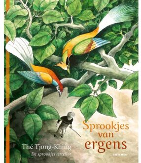 Sprookjes Van Ergens - De Sprookjesverteller - Thé Tjong-Khing