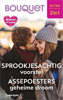 Sprookjesachtig voorstel / Assepoesters geheime droom -  Jessica Gilmore, Jessica Hart (ISBN: 9789402582598)