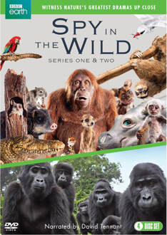 Spy in the Wild: Series 1-2