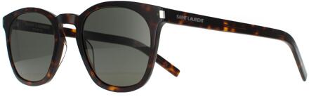 Square unisex Dark Havana Gray SL 28 slanke zonnebril - maat Bruin